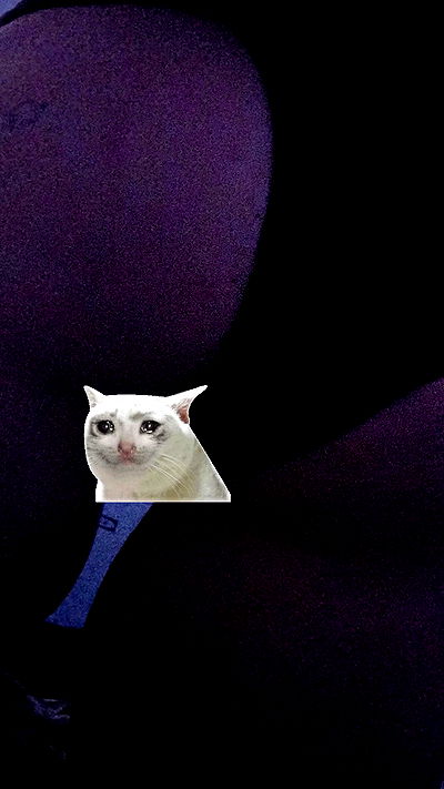 moonyyyya moonyyyya archive video