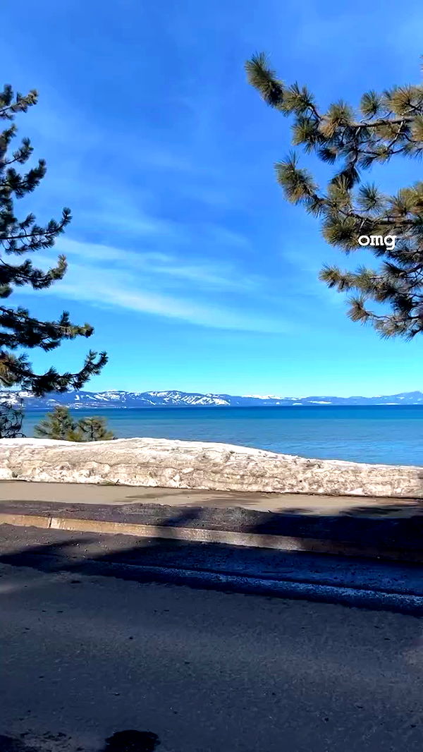 zommmbri archive video preview