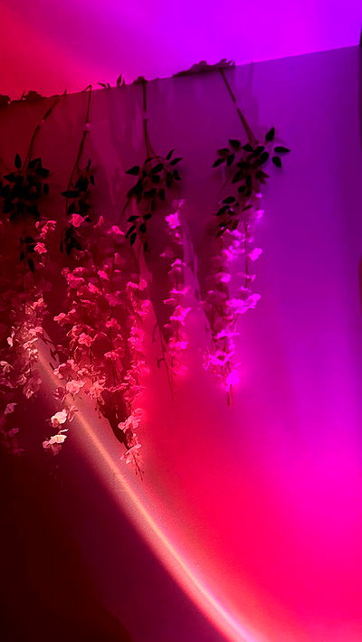 v.qx v.qx archive video