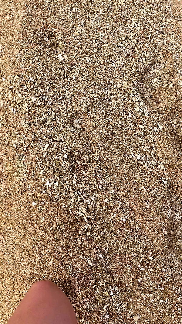 yam_adler archive video preview