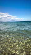 lisssa_sha Altpins Profile Picture