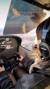 cat2_bat Altpins Profile Picture