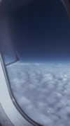 karin_orhov Altpins Profile Picture