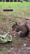 karin_orhov Altpins Profile Picture