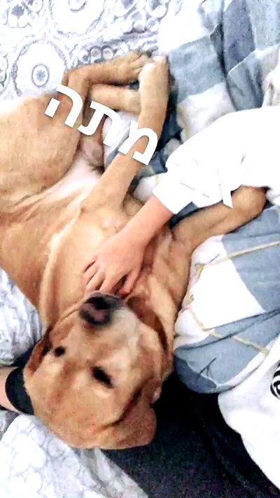 lissi77 lissi77 archive video