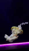 karin_orhov Altpins Profile Picture