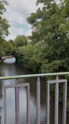 karin_orhov Altpins Profile Picture