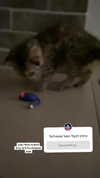 karin_orhov Altpins Profile Picture