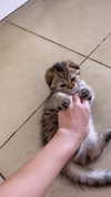 karin_orhov Altpins Profile Picture