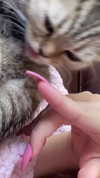 karin_orhov Altpins Profile Picture