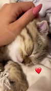 karin_orhov Altpins Profile Picture