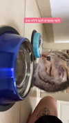 karin_orhov Altpins Profile Picture