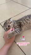 karin_orhov Altpins Profile Picture