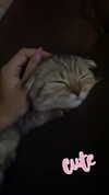 karin_orhov Altpins Profile Picture