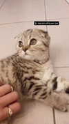 karin_orhov Altpins Profile Picture