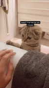 karin_orhov Altpins Profile Picture