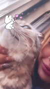 karin_orhov Altpins Profile Picture