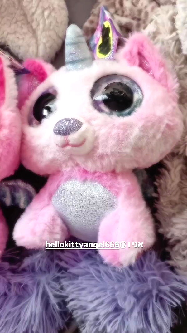 shayli_or archive video preview