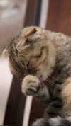 karin_orhov Altpins Profile Picture