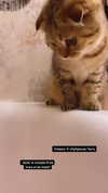 karin_orhov Altpins Profile Picture