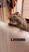 karin_orhov Altpins Profile Picture
