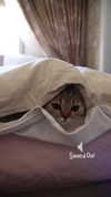 karin_orhov Altpins Profile Picture