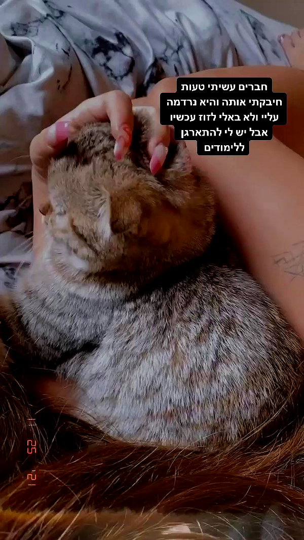 karin_orhov archive video preview