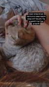 karin_orhov Altpins Profile Picture