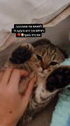 karin_orhov Altpins Profile Picture