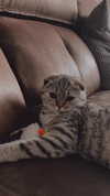 karin_orhov Altpins Profile Picture