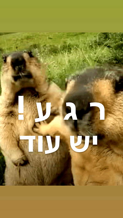 itsilanosh itsilanosh archive video