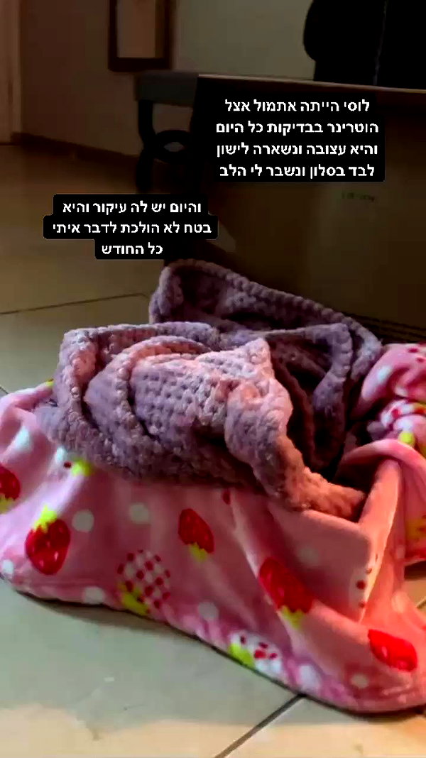 karin_orhov archive video preview