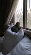 karin_orhov Altpins Profile Picture