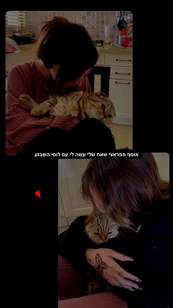 karin_orhov archive video preview