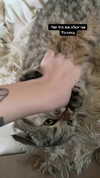 karin_orhov Altpins Profile Picture