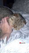 karin_orhov Altpins Profile Picture