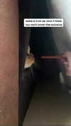 karin_orhov Altpins Profile Picture