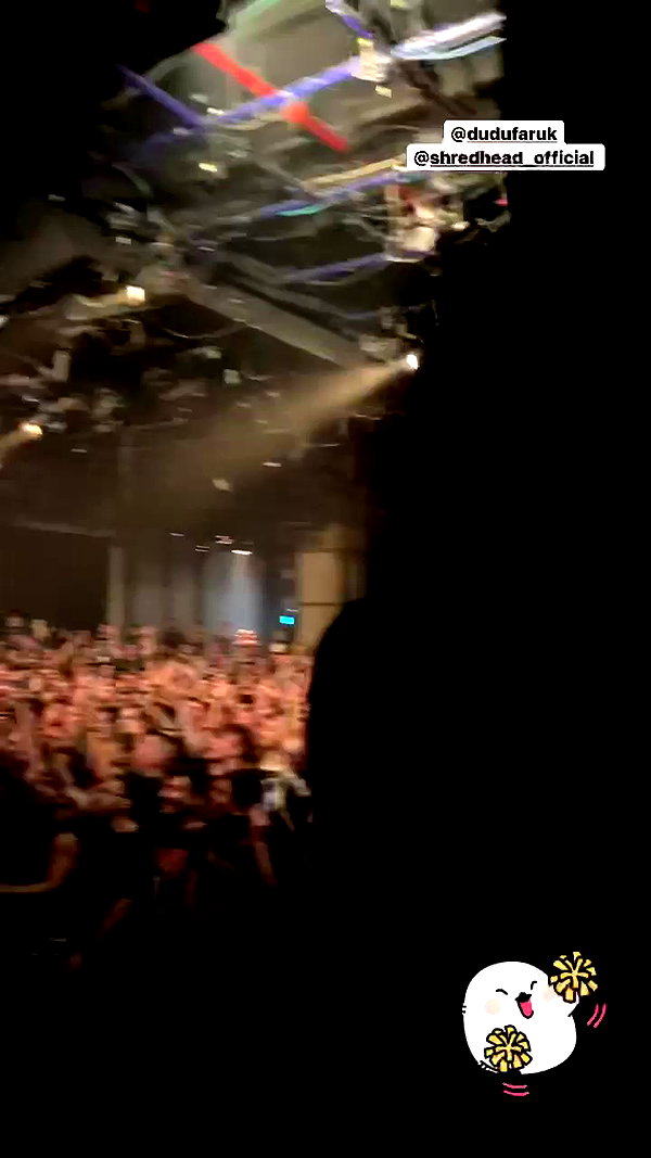 karin_orhov archive video preview