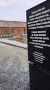 karin_orhov Altpins Profile Picture