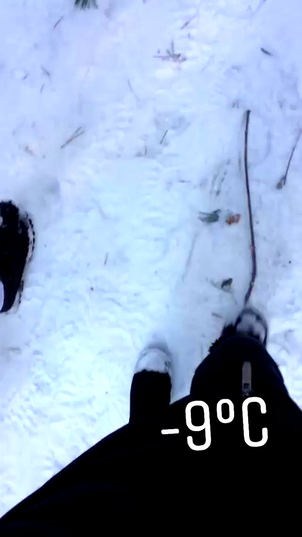 karin_orhov archive video preview