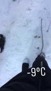 karin_orhov Altpins Profile Picture