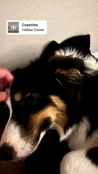 lu2hot lu2hot archive video