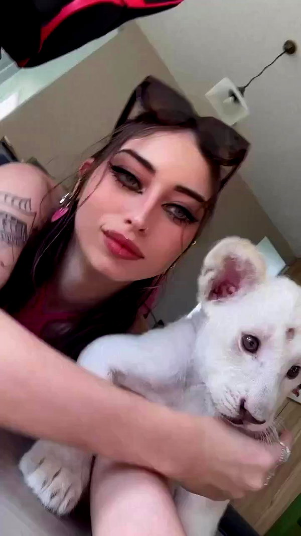 seilorkittyofficial archive video preview