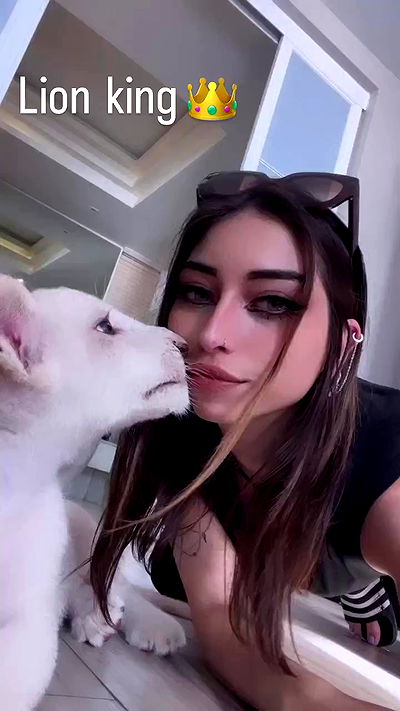 seilorkittyofficial seilorkittyofficial archive video