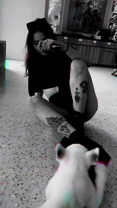 seilorkittyofficial seilorkittyofficial archive video
