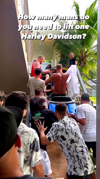 seilorkittyofficial seilorkittyofficial archive video