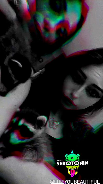 seilorkittyofficial seilorkittyofficial archive video