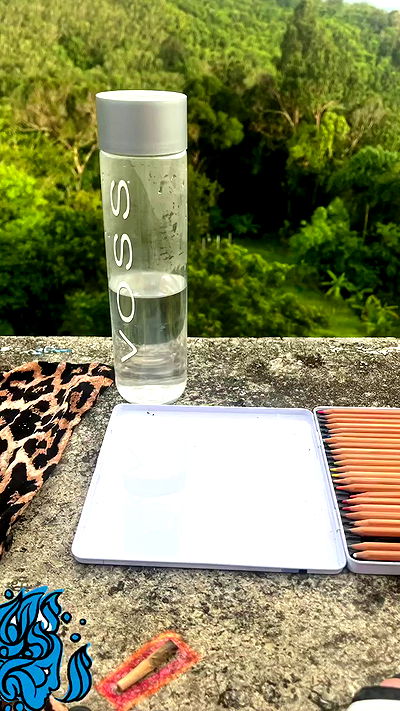 seilorkittyofficial seilorkittyofficial archive video