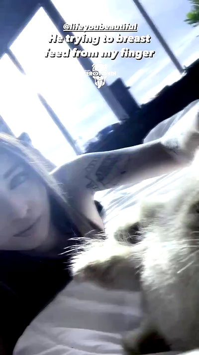 seilorkittyofficial seilorkittyofficial archive video