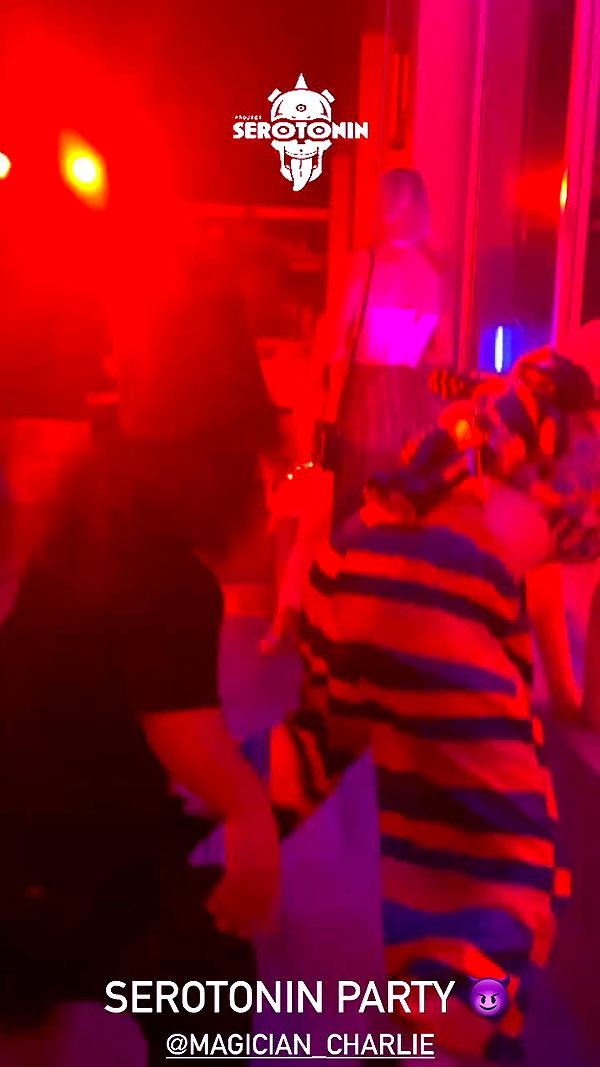 seilorkittyofficial archive video preview